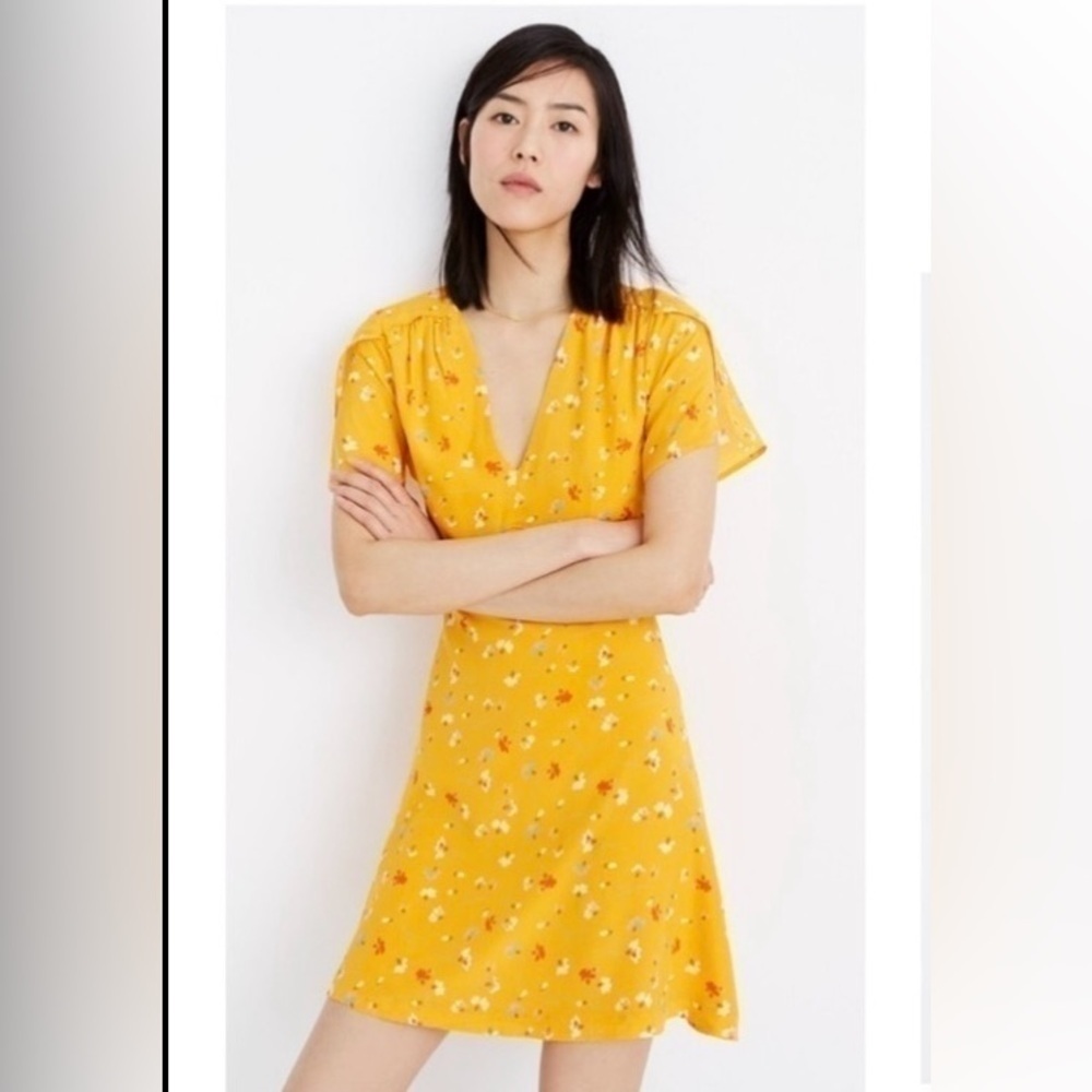 Madewell 100% Silk Belladonna Dress Painted Carnations Floral Mini Dress Size 00